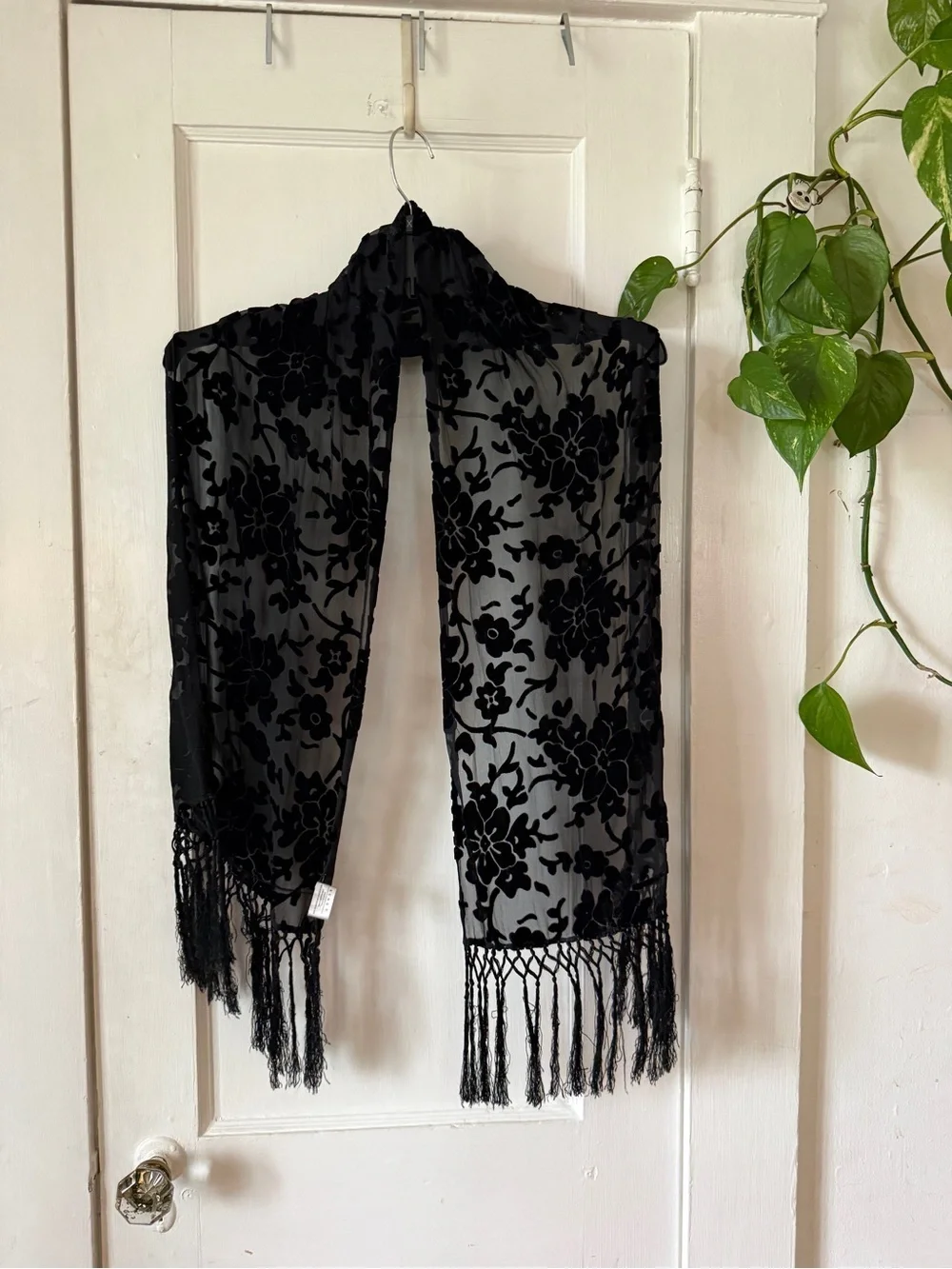 Echo Black Sheer Velvet Burnout Scarf with Fringe